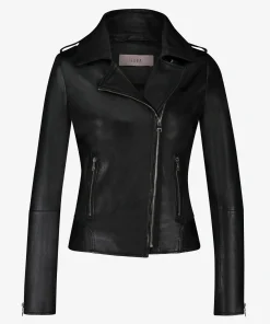 Bear Blaze Black-IBANA Online