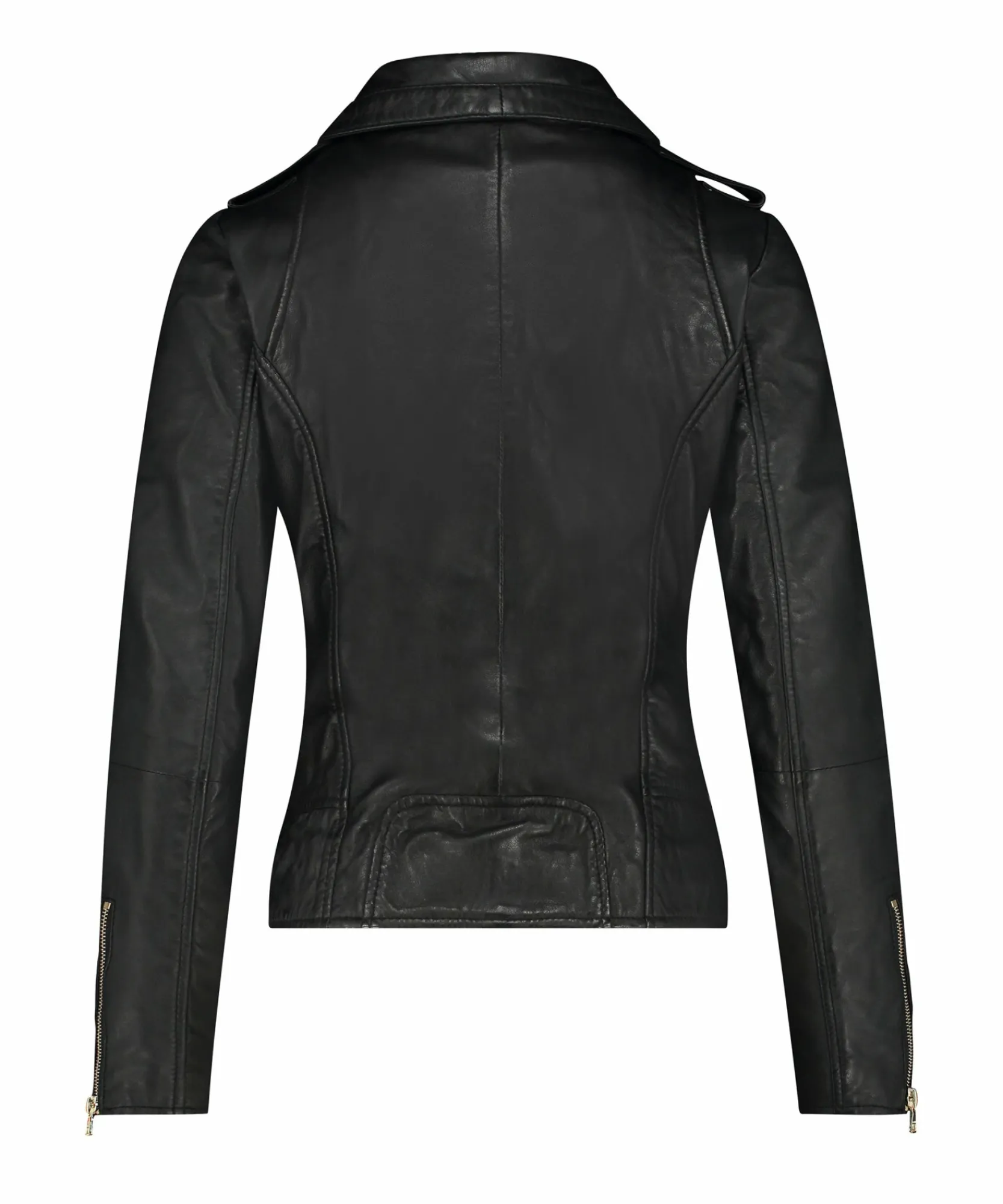 Bear Blaze Black-IBANA Online