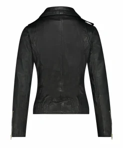 Bear Blaze Blacksilver-IBANA Online