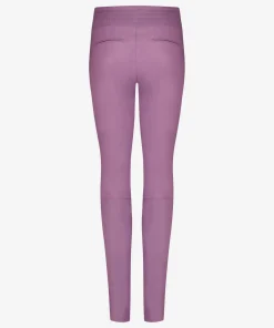 Colette Wild Rose-IBANA Best
