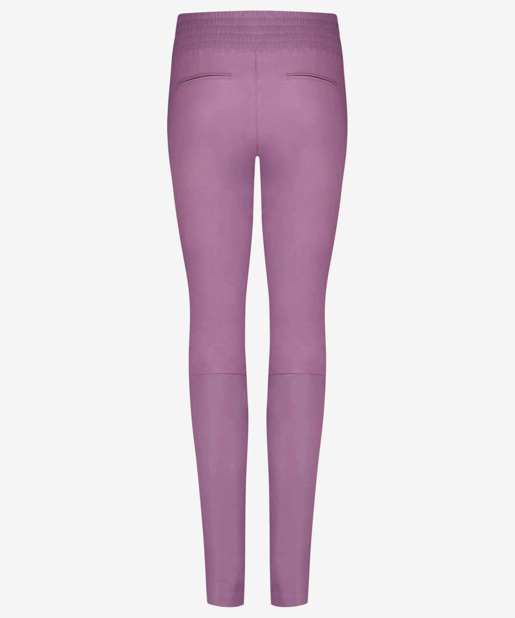 Colette Wild Rose-IBANA Best