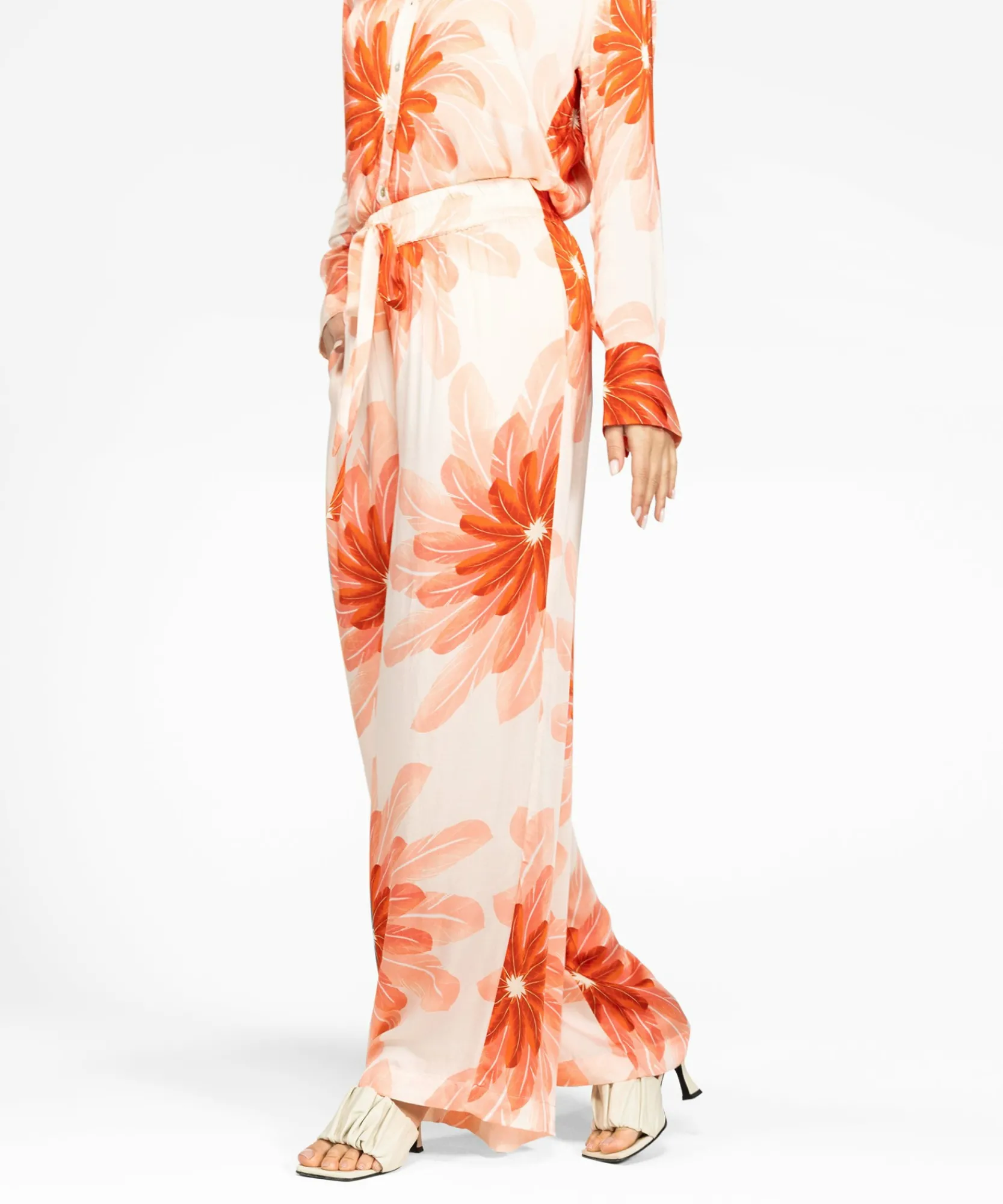 Palmtri Rosy Blush-IBANA Best