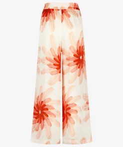 Palmtri Rosy Blush-IBANA Best
